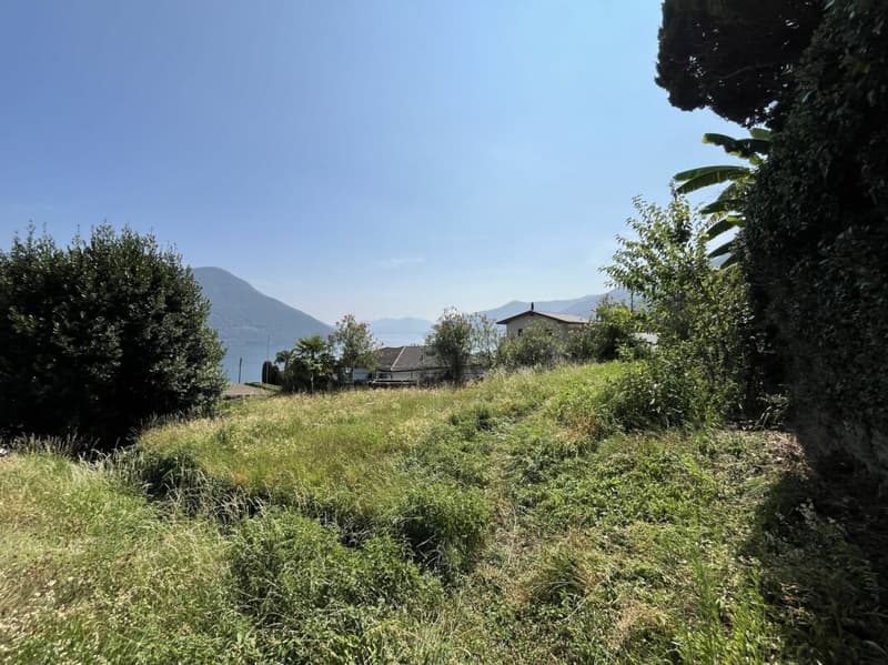 Terreno edificabile sopra il Lago Maggiore (7)