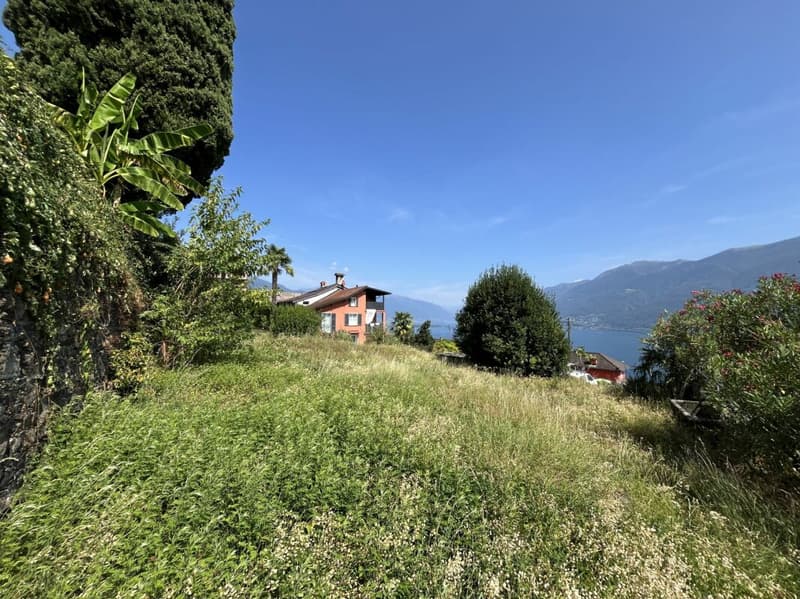 Terreno edificabile sopra il Lago Maggiore (9)