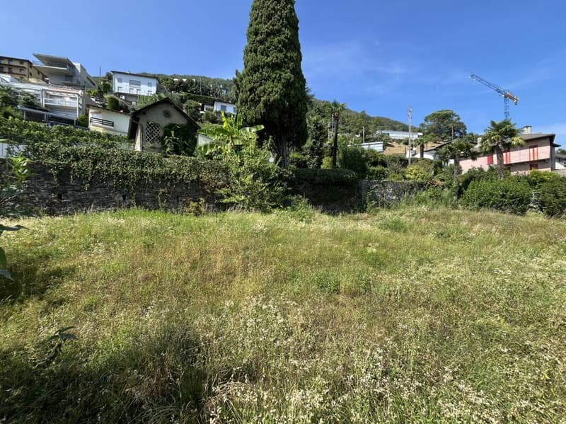 Terreno edificabile sopra il Lago Maggiore (10)