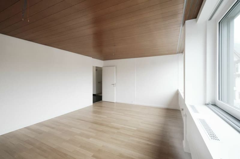 Investment opportunity in the heart of Küssnacht am Rigi (11)