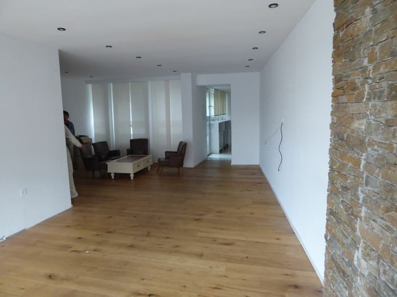 Investment opportunity in the heart of Küssnacht am Rigi (12)