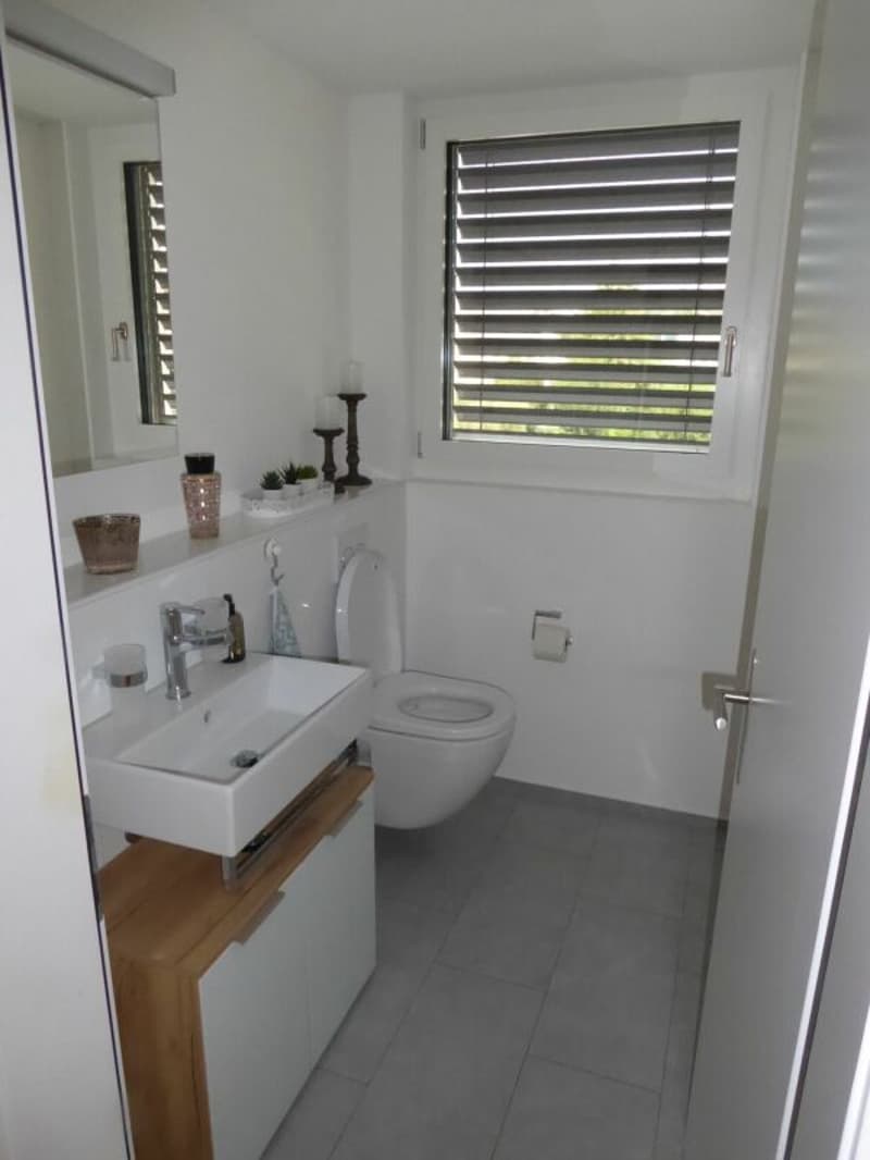Investment opportunity in the heart of Küssnacht am Rigi (9)