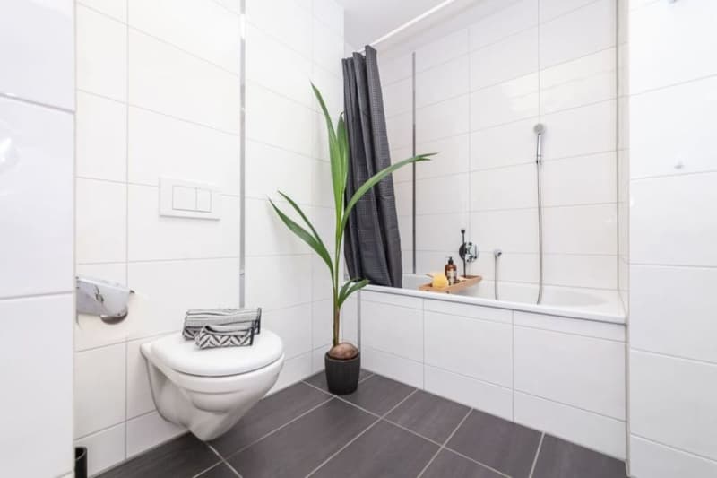 Senso di Penthouse: 140m2 Terrazza sopra i Tetti di Rheinfelden (9)
