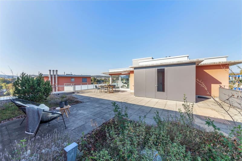 Senso di Penthouse: 140m2 Terrazza sopra i Tetti di Rheinfelden (3)