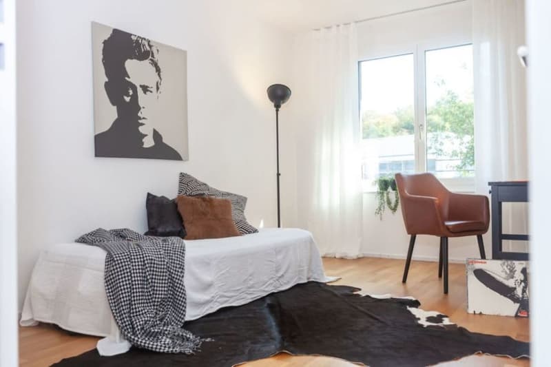 Senso di Penthouse: 140m2 Terrazza sopra i Tetti di Rheinfelden (13)
