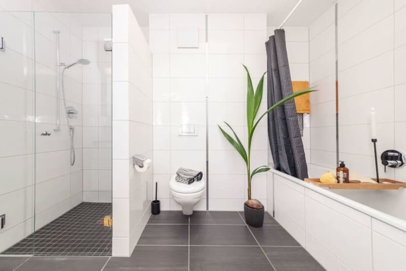 Senso di Penthouse: 140m2 Terrazza sopra i Tetti di Rheinfelden (10)