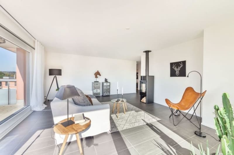 Senso di Penthouse: 140m2 Terrazza sopra i Tetti di Rheinfelden (5)