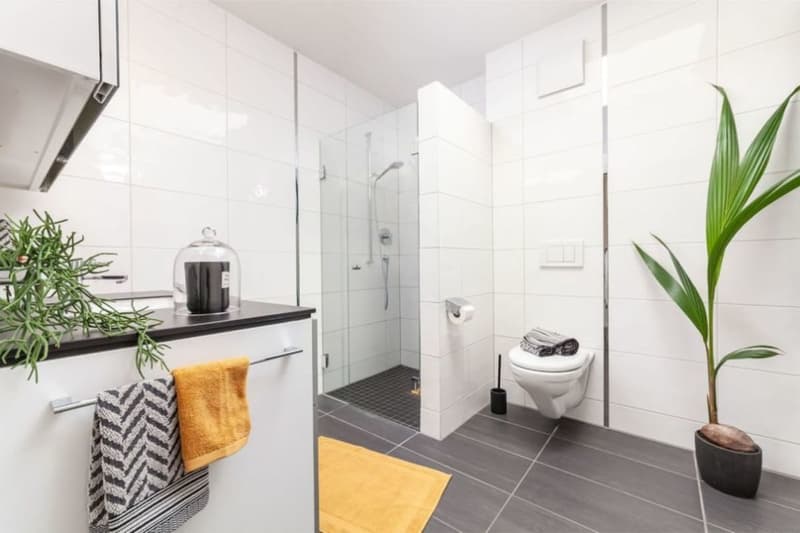 Senso di Penthouse: 140m2 Terrazza sopra i Tetti di Rheinfelden (8)