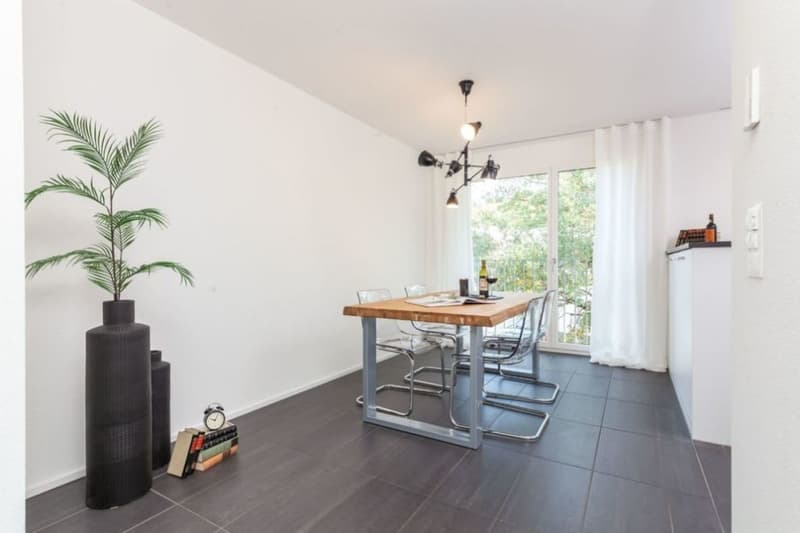 Senso di Penthouse: 140m2 Terrazza sopra i Tetti di Rheinfelden (14)