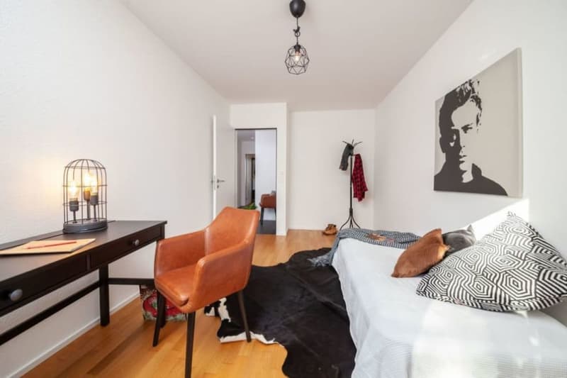 Senso di Penthouse: 140m2 Terrazza sopra i Tetti di Rheinfelden (11)