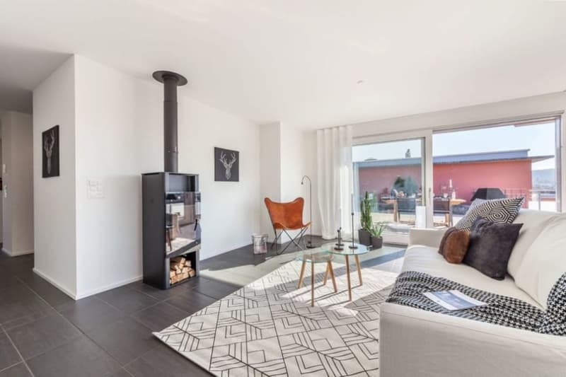 Senso di Penthouse: 140m2 Terrazza sopra i Tetti di Rheinfelden (4)