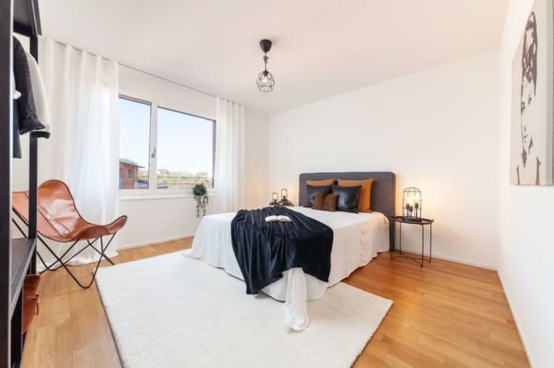 Senso di Penthouse: 140m2 Terrazza sopra i Tetti di Rheinfelden (12)