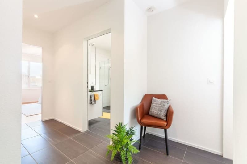 Senso di Penthouse: 140m2 Terrazza sopra i Tetti di Rheinfelden (7)