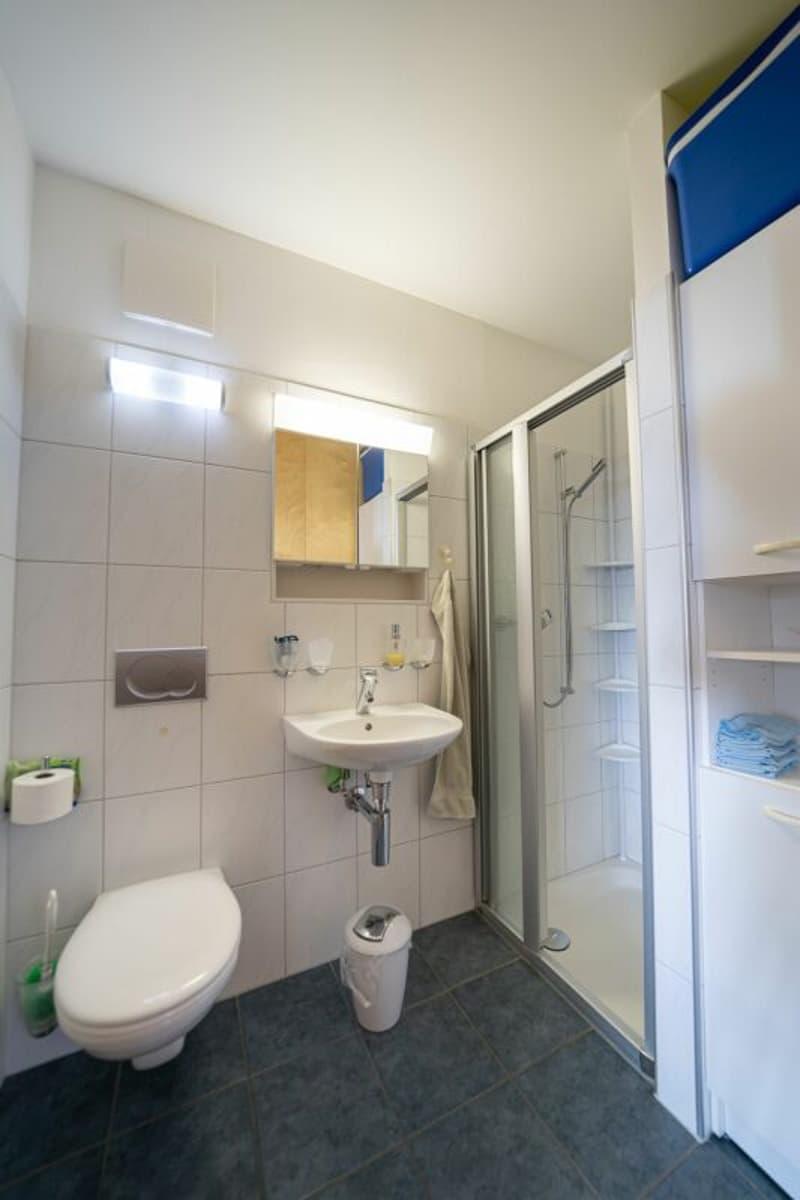Sonnige 4.5-Zimmer-Wohnung mit viel Komfort und Rhein-Nähe (9)