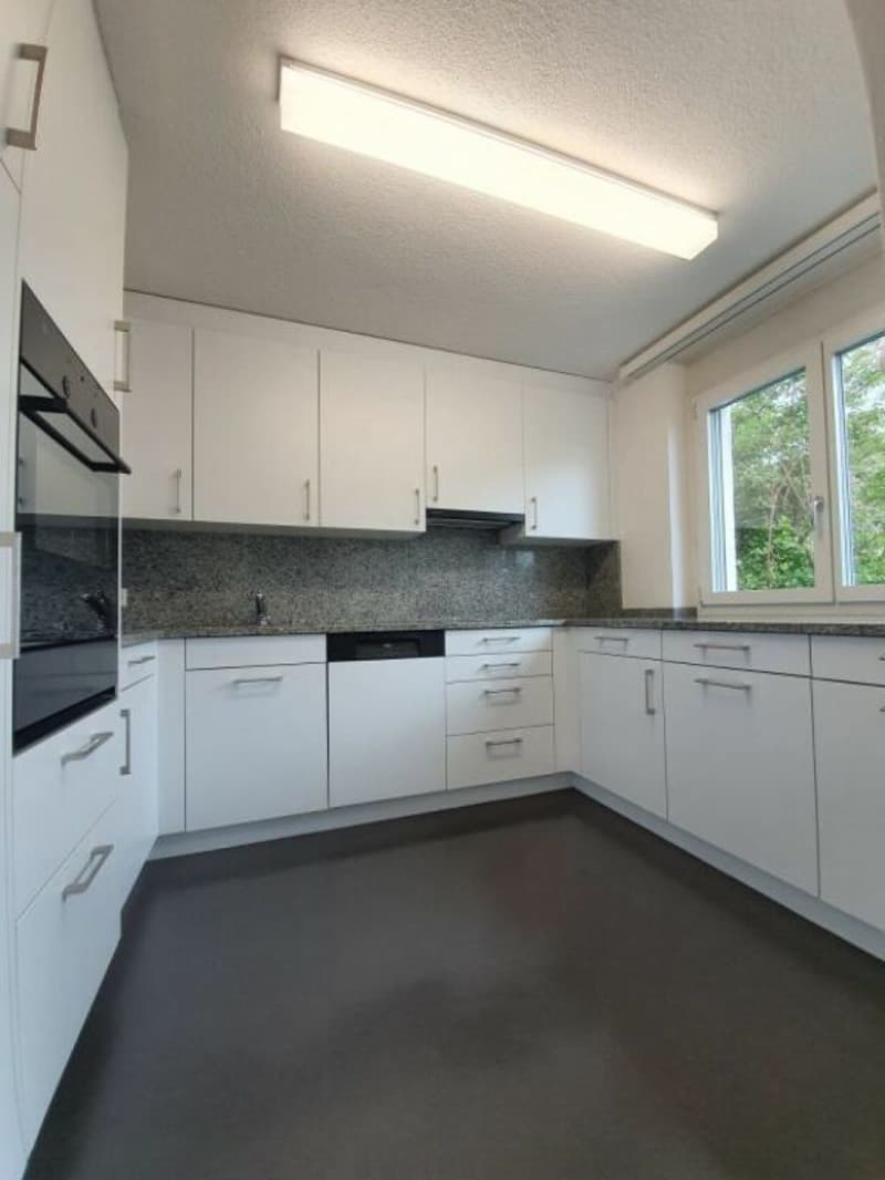Bright 5.5 room apartment with private laundry room! (1)