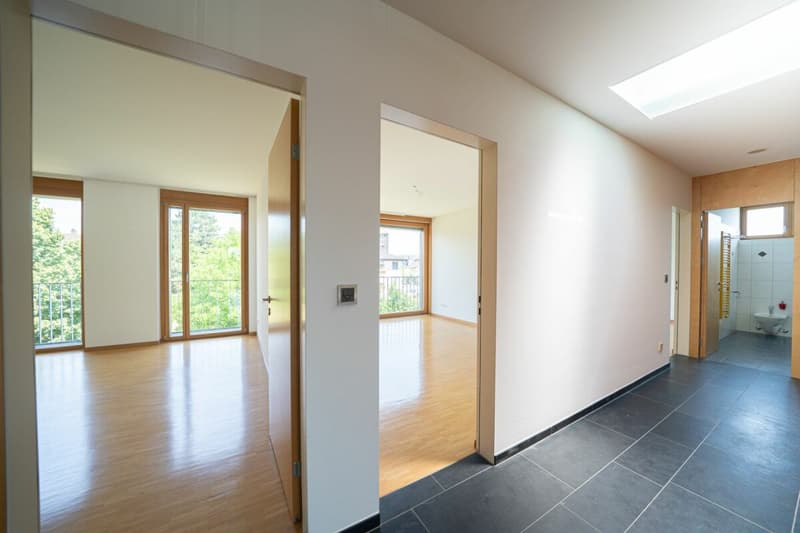 Appartement ensoleillé de 4,5 pièces avec beaucoup de confort et proximité du Rhin (11)