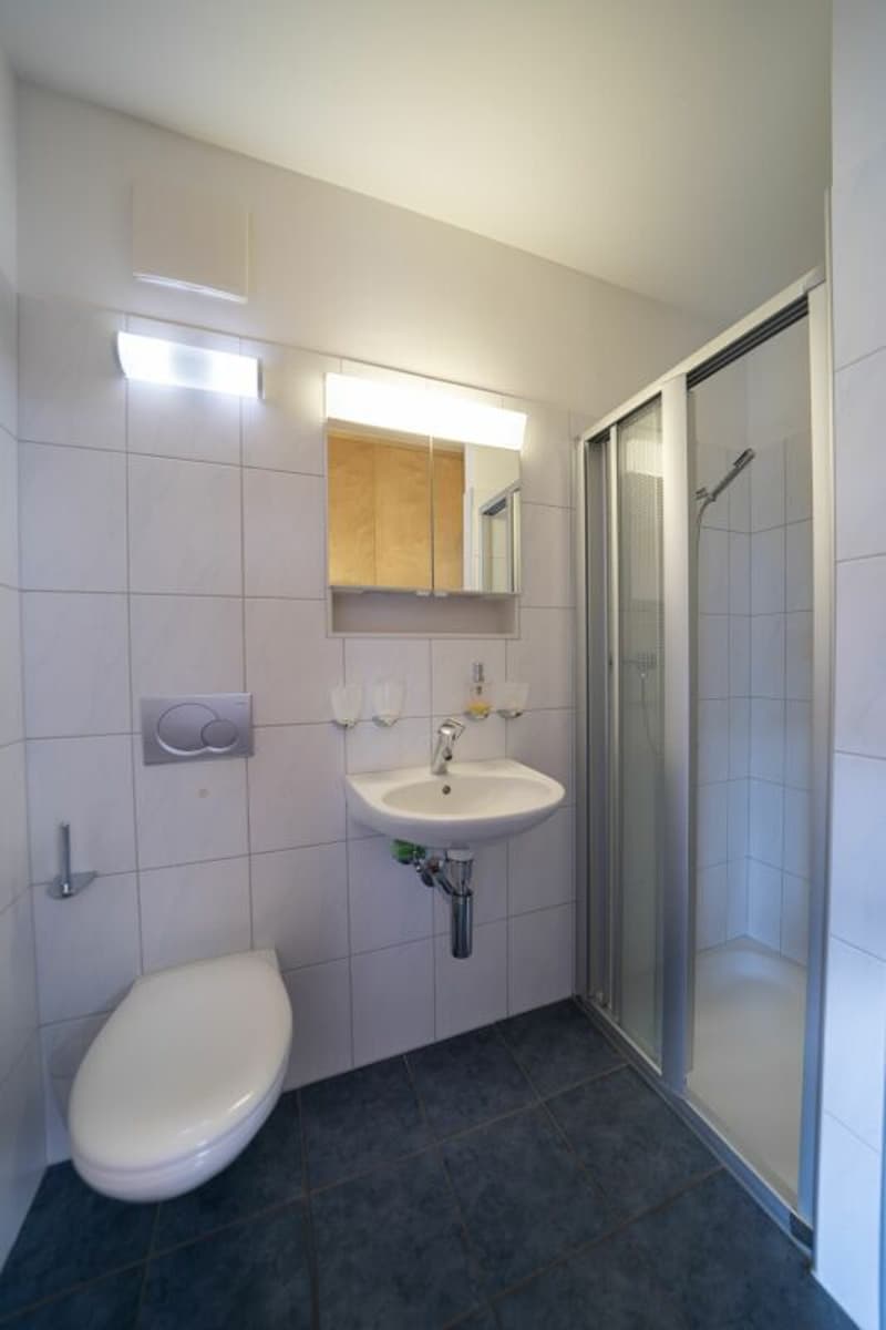 Appartement ensoleillé de 4,5 pièces avec beaucoup de confort et proximité du Rhin (13)