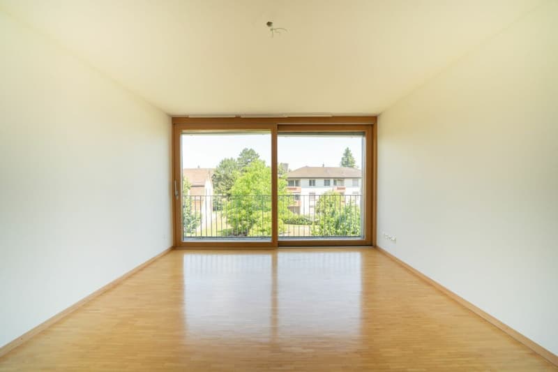 Appartement ensoleillé de 4,5 pièces avec beaucoup de confort et proximité du Rhin (10)
