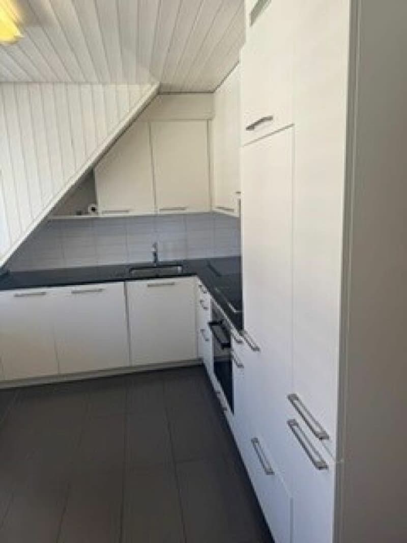 Accogliente appartamento mansardato di 3,5 locali (6)