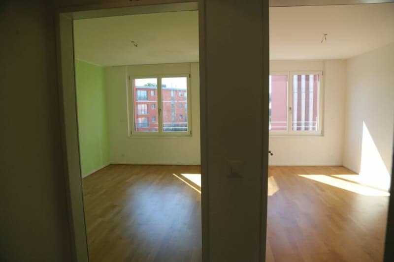 Appartamento accogliente di 4,5 locali in una zona verde (12)