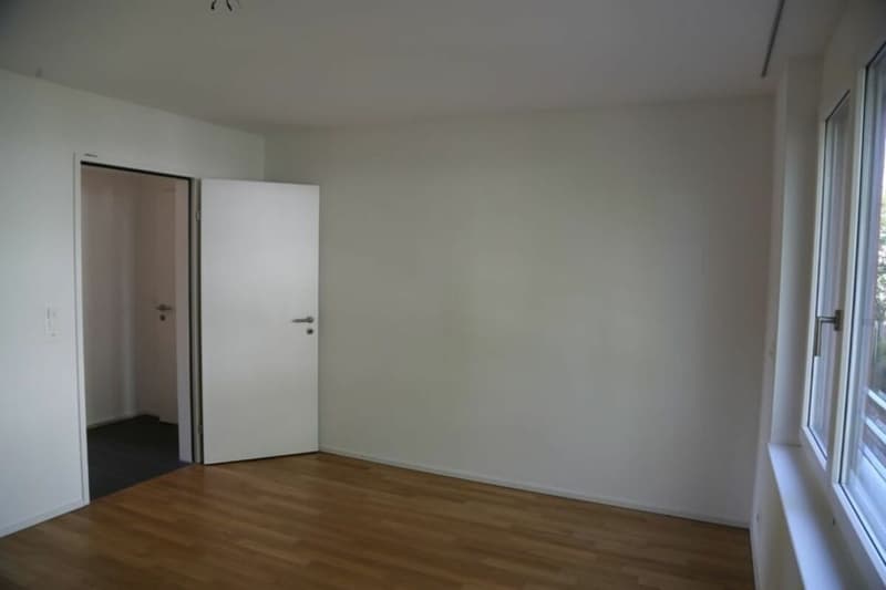 Appartamento accogliente di 4,5 locali in una zona verde (8)