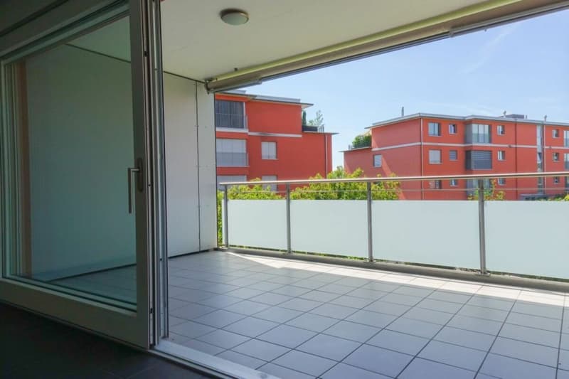 Appartamento accogliente di 4,5 locali in una zona verde (2)
