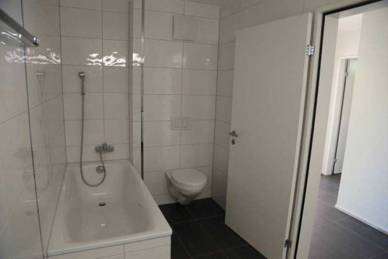 Appartamento accogliente di 4,5 locali in una zona verde (10)