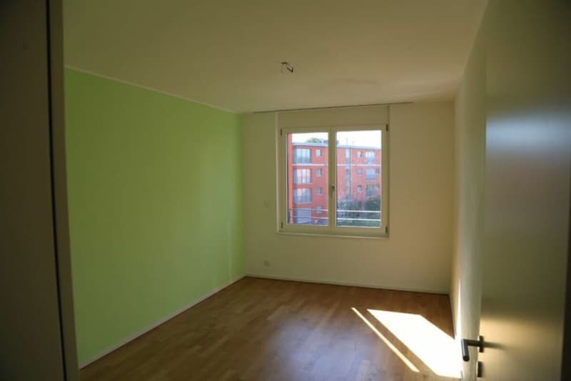 Appartamento accogliente di 4,5 locali in una zona verde (14)