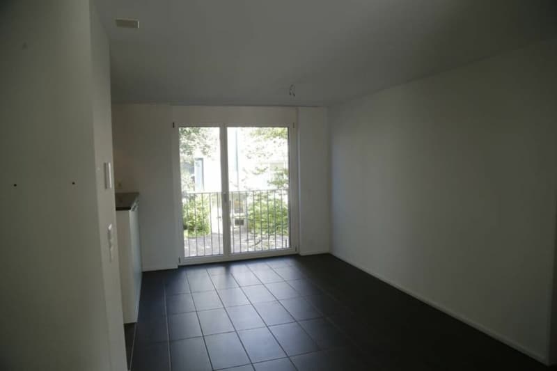Appartamento accogliente di 4,5 locali in una zona verde (5)