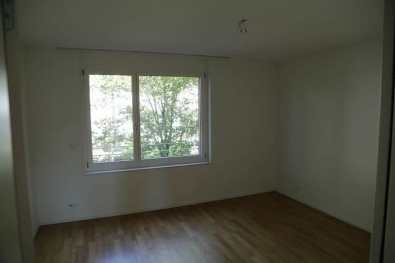 Appartamento accogliente di 4,5 locali in una zona verde (7)
