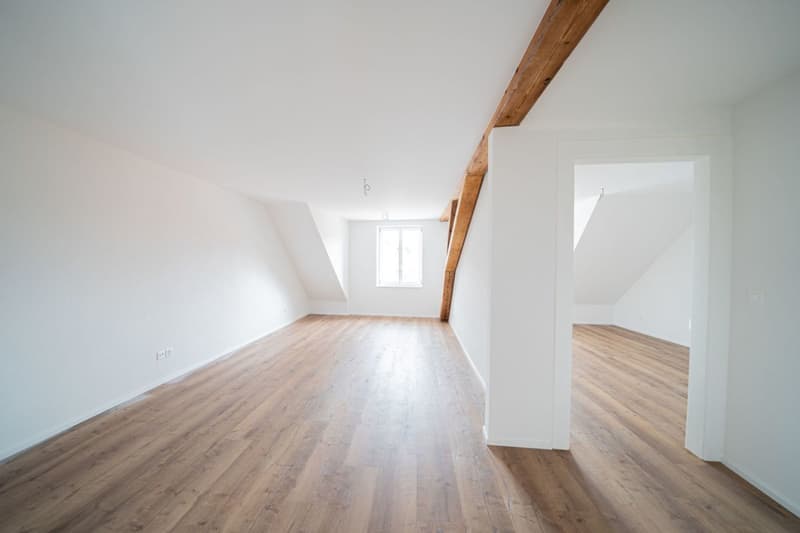 Singlewohnung mit Extracharme (4)