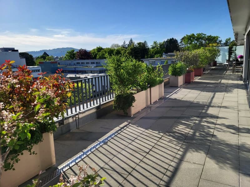 Joyau résidentiel rare - appartement en attique de 5,5 pièces au cœur de Rheinfelden (12)