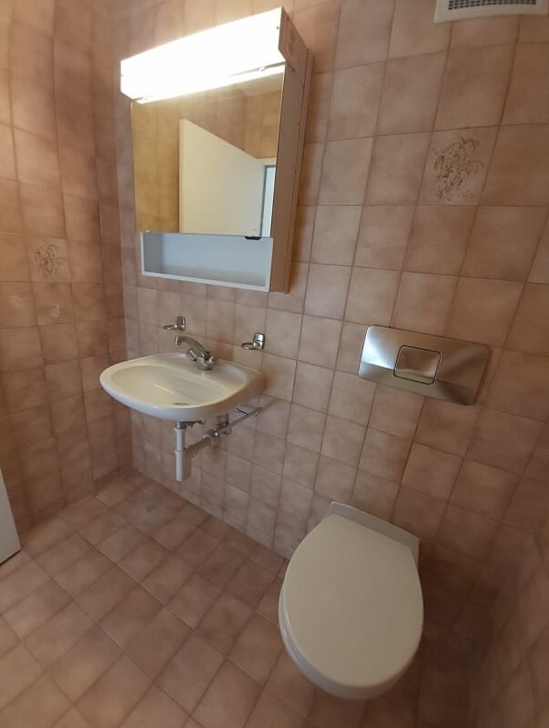 Gemütliche 3.5-Zimmer-Dachwohnung (11)