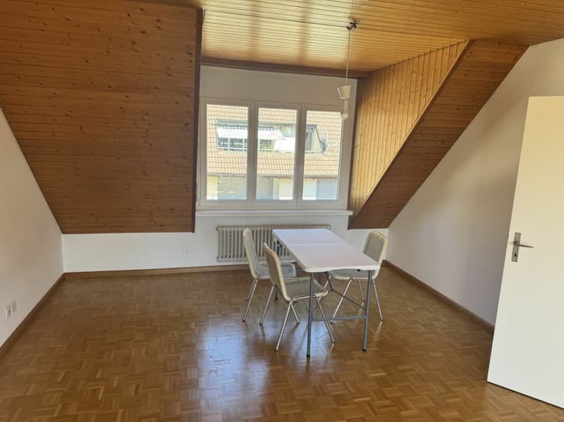 Gemütliche 3.5-Zimmer-Dachwohnung (7)