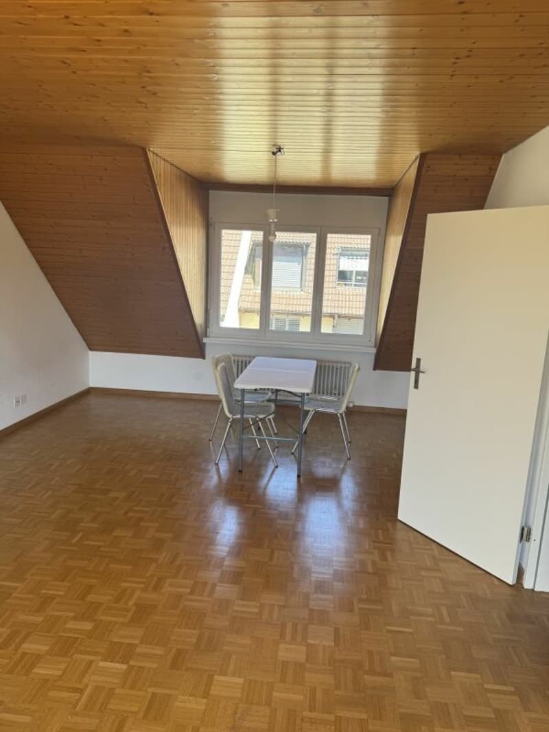Gemütliche 3.5-Zimmer-Dachwohnung (12)
