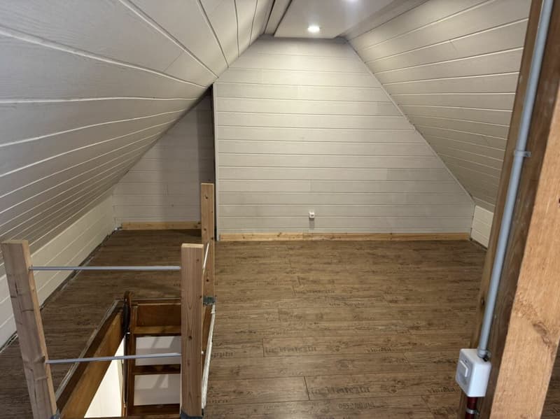 Gemütliche 3.5-Zimmer-Dachwohnung (19)