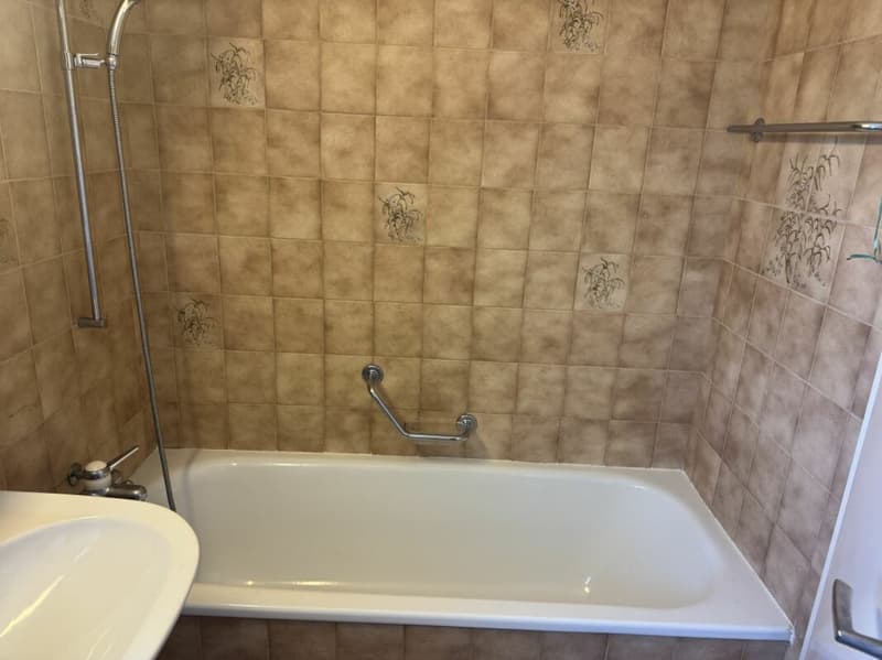 Gemütliche 3.5-Zimmer-Dachwohnung (18)