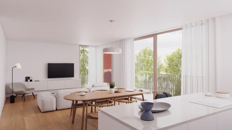 New construction project Birkenweg / Shell construction completed (3)