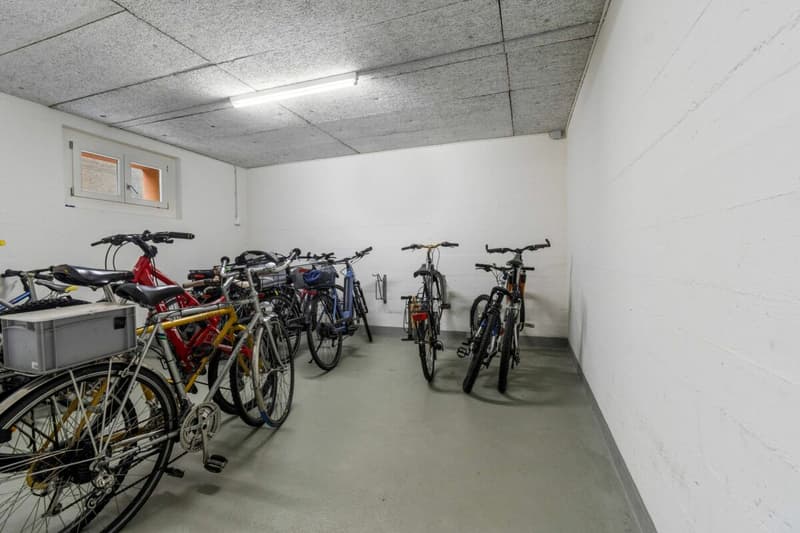 Attraktives Wohneigentum in Füllinsdorf (10)