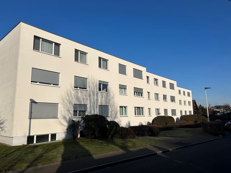 Aussenansicht_Austrasse.jpg