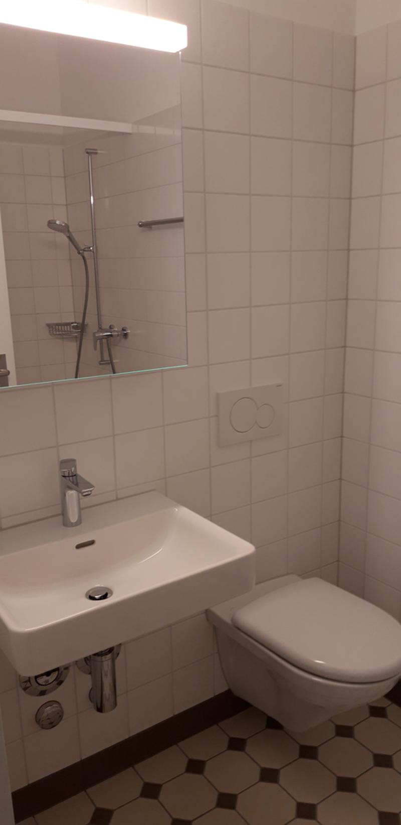 Sanierte 1-Zimmerwohnung mit Balkon (4)