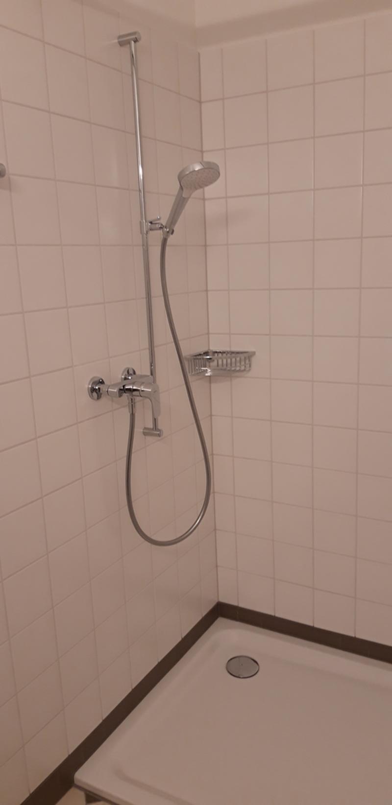 Sanierte 1-Zimmerwohnung mit Balkon (5)