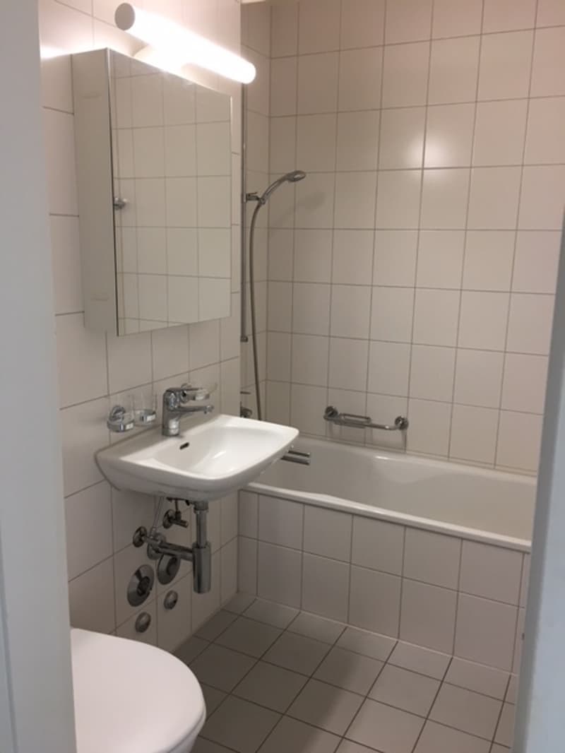 Bad-WC.JPG