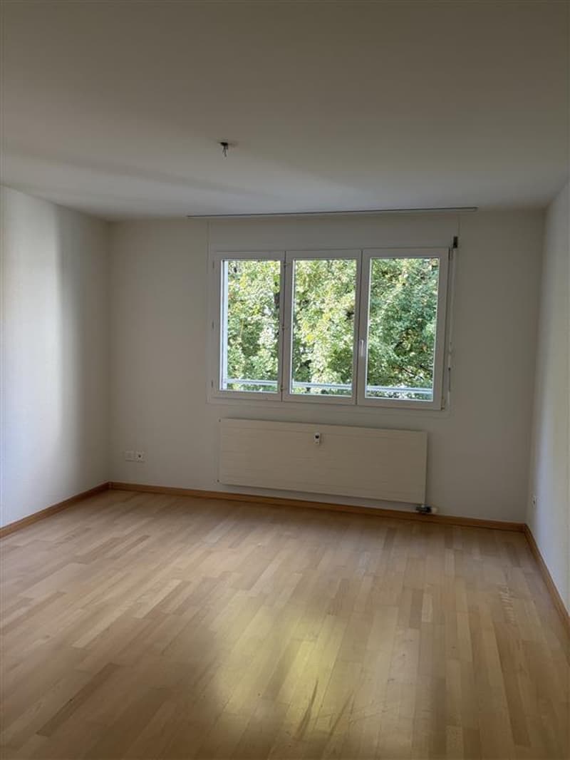 Zimmer1.jpg