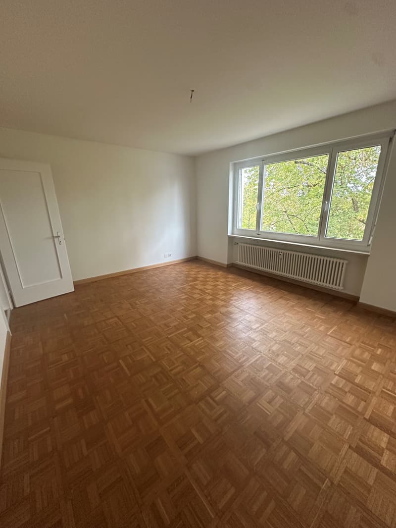SZ.jpg