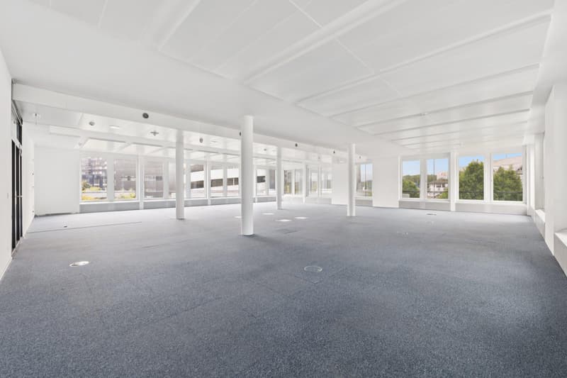 Representative office space in an excellent microlocation (4)