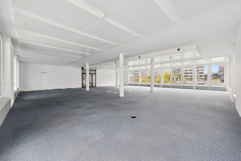 Representative office space in an excellent microlocation (3)