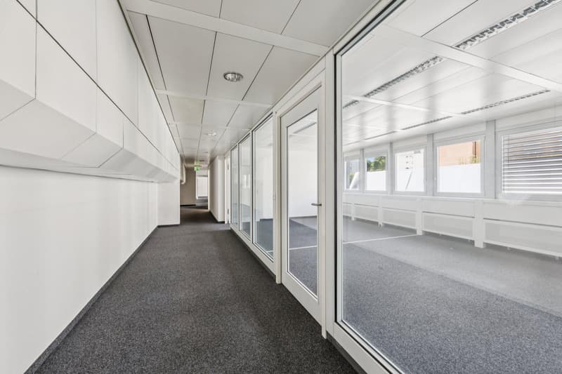 Office space in central location (7)