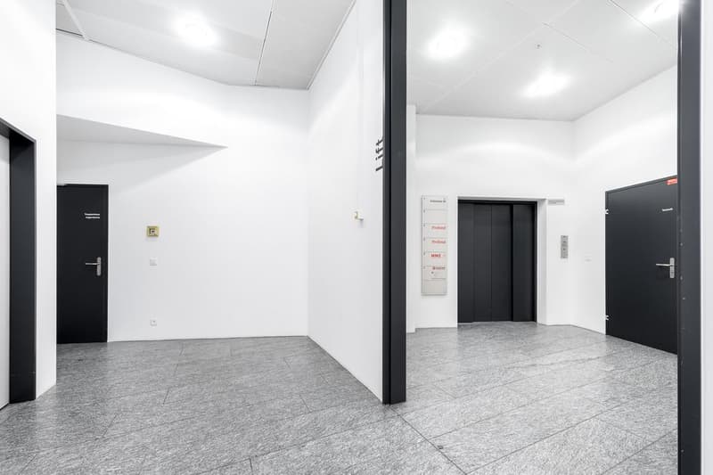 Le bureau au cœur de Zurich (12)
