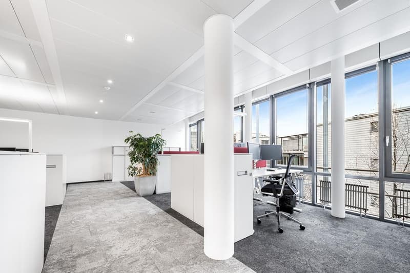Le bureau au cœur de Zurich (8)